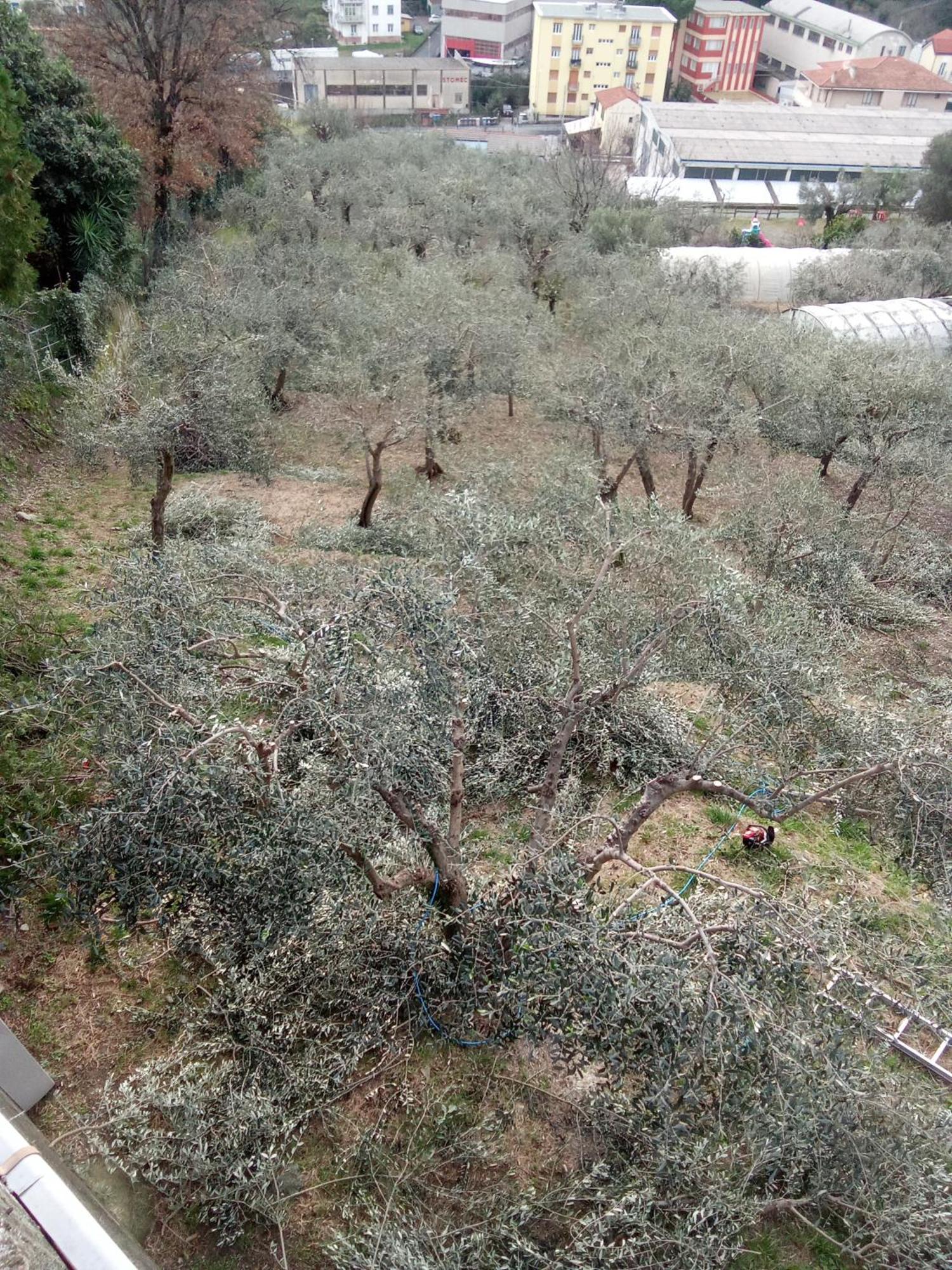 Agriturismo Cele Celle Ligure Exterior photo