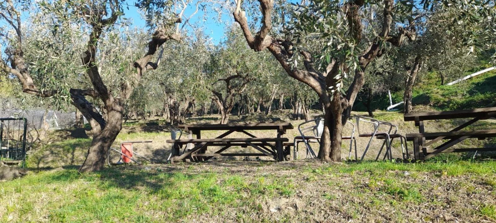 Agriturismo Cele Celle Ligure Exterior photo